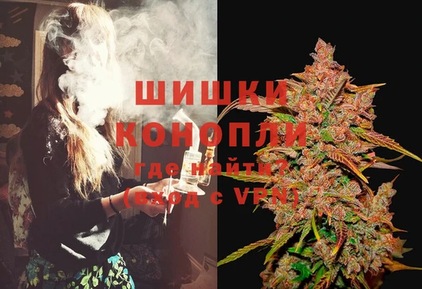 ГАЛЛЮЦИНОГЕННЫЕ ГРИБЫ Алексеевка